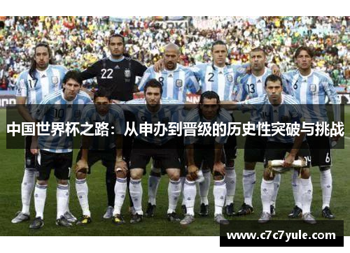 中国世界杯之路：从申办到晋级的历史性突破与挑战