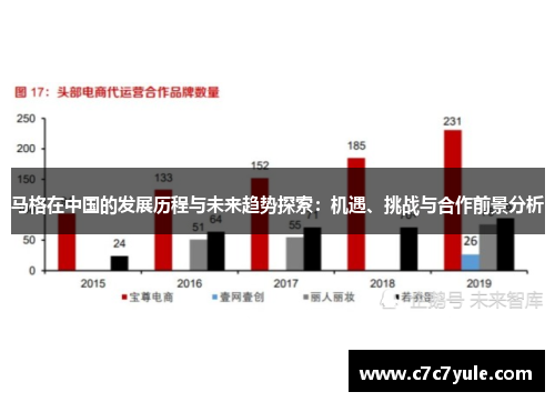 马格在中国的发展历程与未来趋势探索：机遇、挑战与合作前景分析